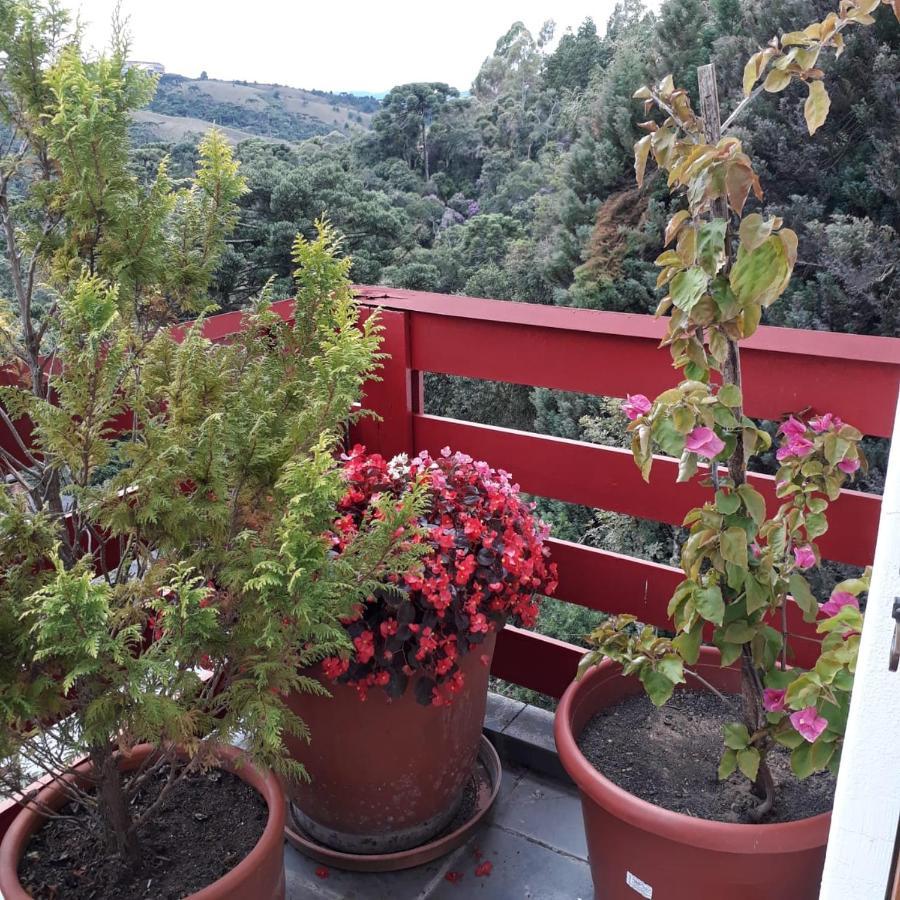 Appartement Cobertura Luxuosa De 250 M2 A 3Kms Do Centrinho Vista Espetacular à Campos do Jordão Extérieur photo